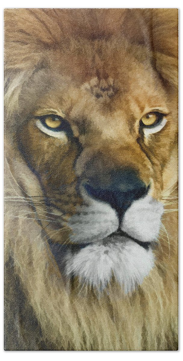 Lion Bath Towel featuring the photograph Lion of Judah II by Sharon Foster