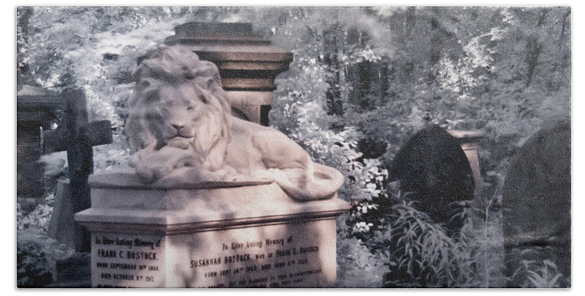 Animal Hand Towel featuring the photograph Sleeping lion by Helga Novelli