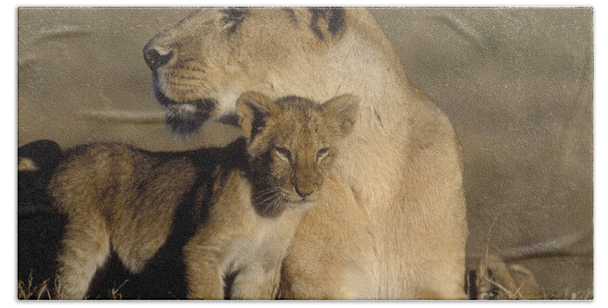 Lioness Bath Towel featuring the photograph Lioness And Her Cub by Sandra Bronstein