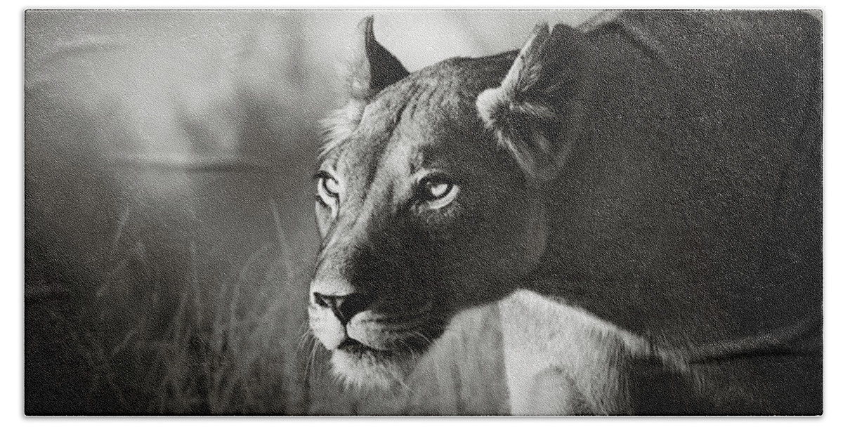Lioness Bath Sheet featuring the photograph Lioness stalking by Johan Swanepoel