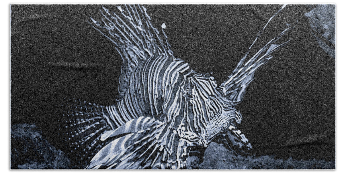Mona Stut Bath Towel featuring the photograph Lionfish Pterois Rotfeuerfisch Bw by Mona Stut