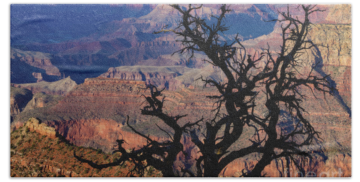 Grand Canyon National Park Bath Towel featuring the photograph Lipan Overlook Grand Canyon 1 by Jerry Fornarotto