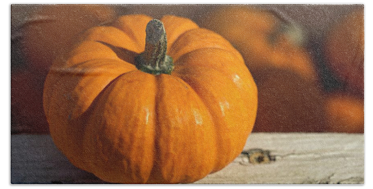 Skompski Hand Towel featuring the photograph Little Pumpkin by Joseph Skompski