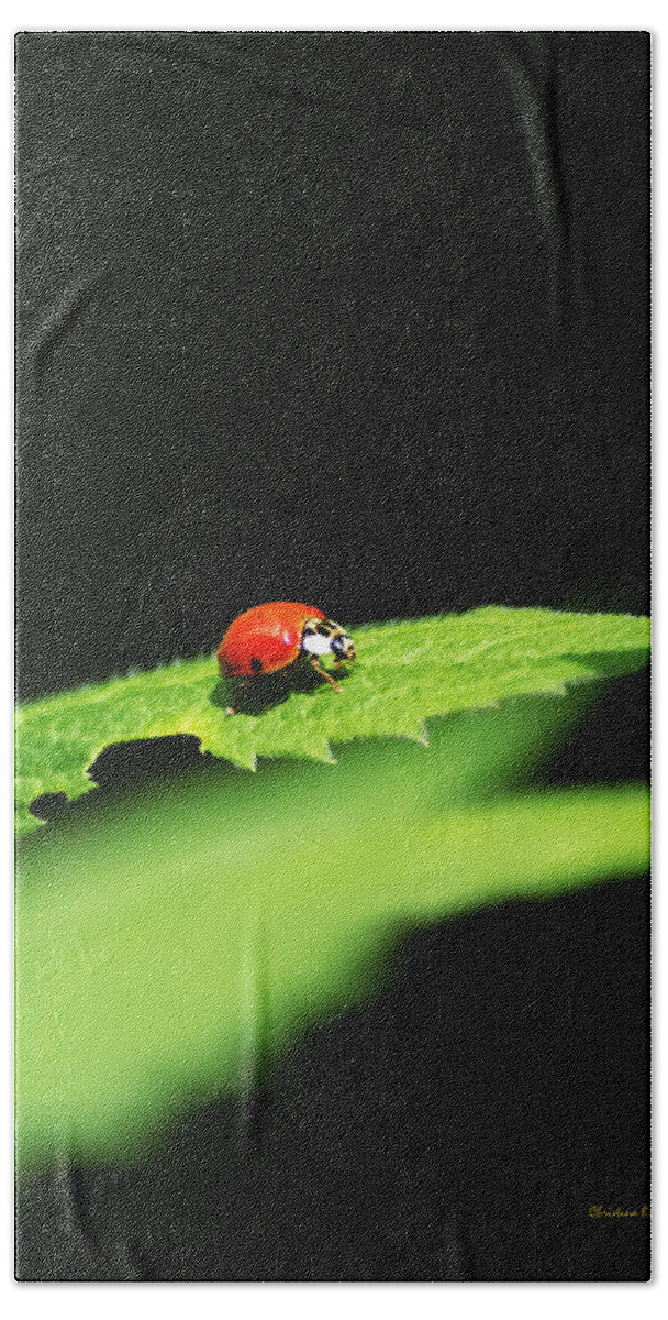 Ladybug Hand Towel featuring the photograph Little Red Ladybug on Green Leaf by Christina Rollo