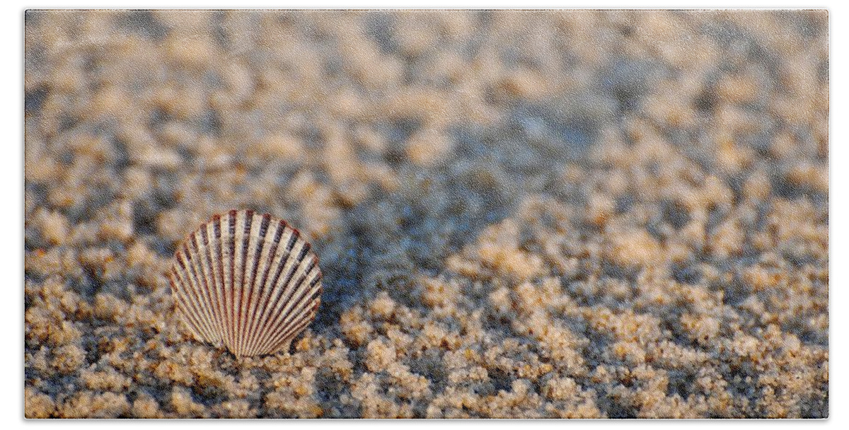 Seashell Bath Towel featuring the photograph Little Seashell - Jersey Shore by Angie Tirado