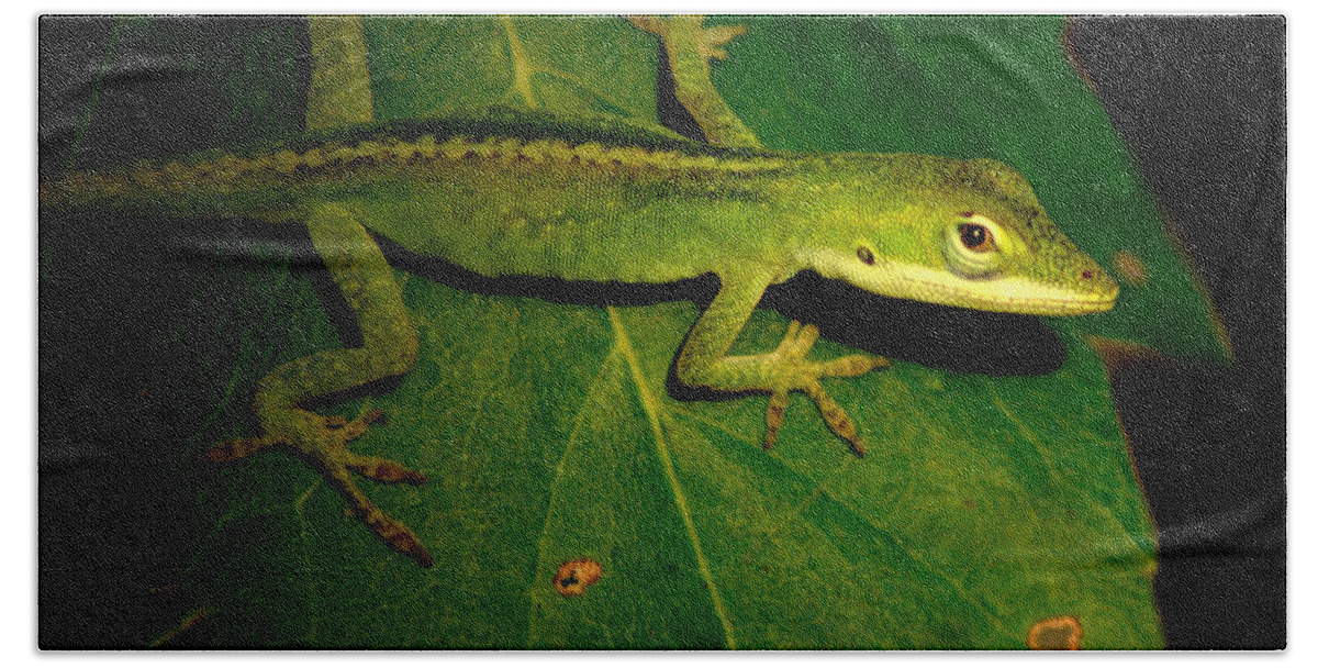  Bath Towel featuring the photograph Lizard 5 by David Weeks