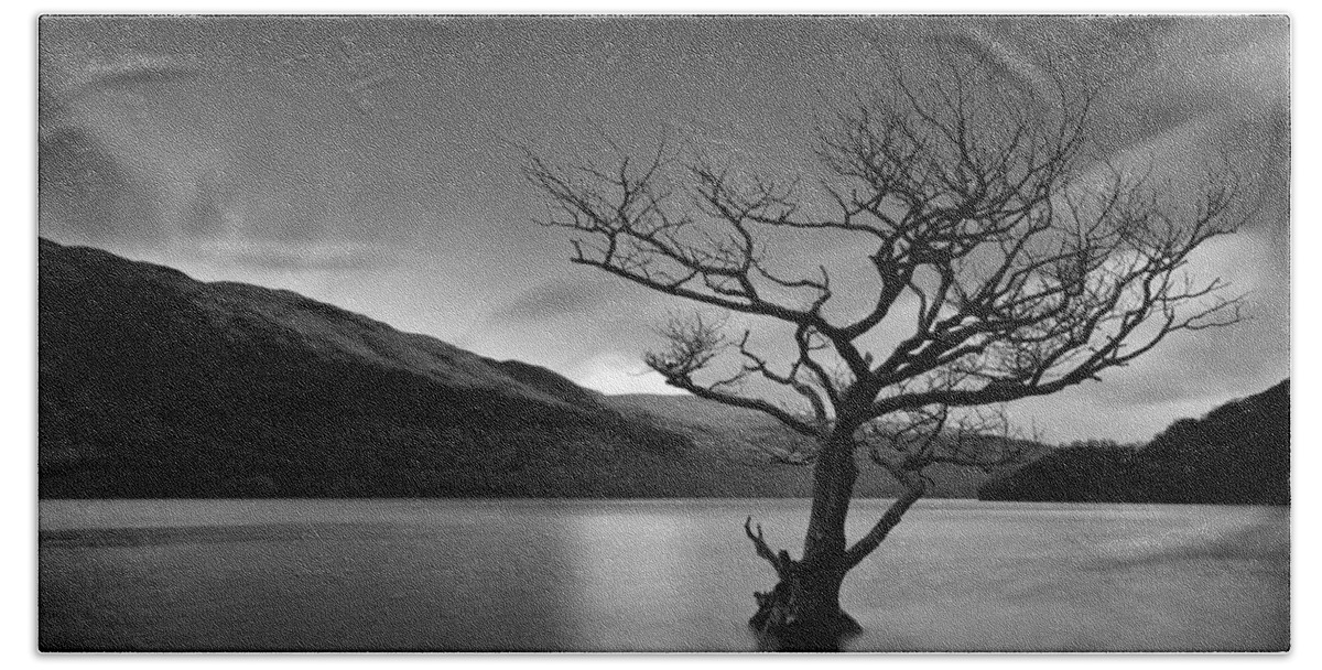 Loch Lomond Bath Towel featuring the photograph Loch Tree by Grant Glendinning
