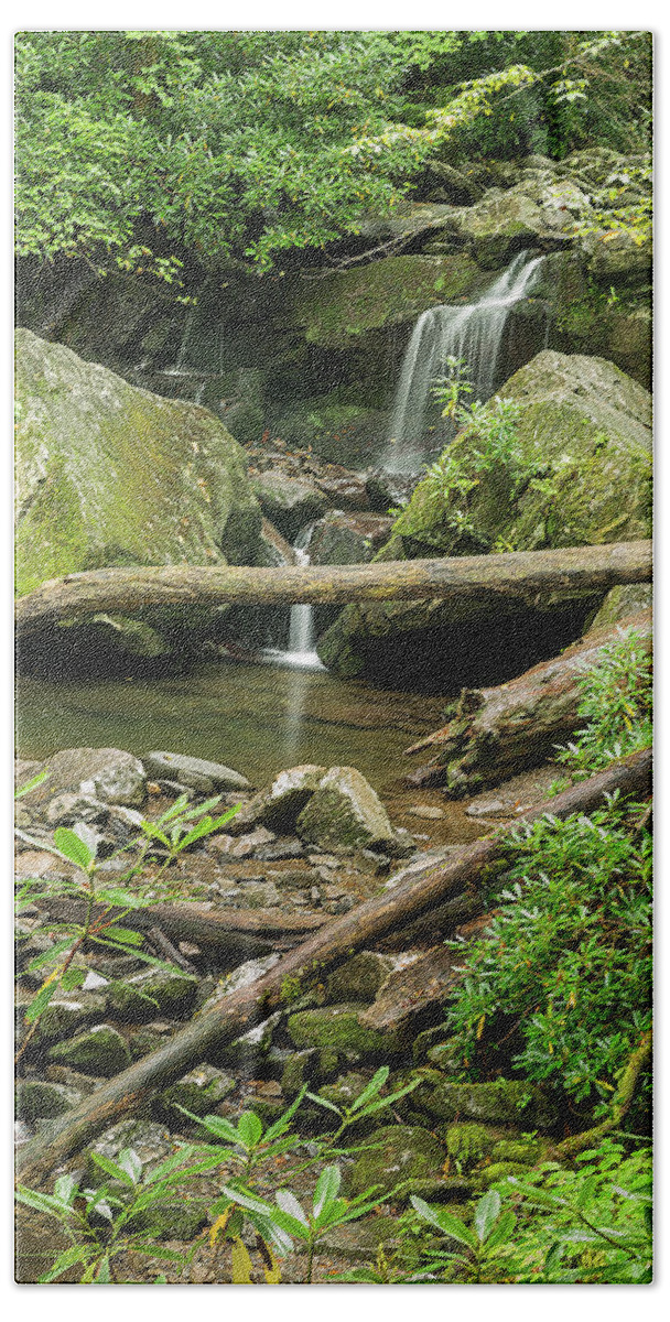 Smoky Mountains National Park Bath Towel featuring the photograph Log Crossing by Jeffrey Ewig