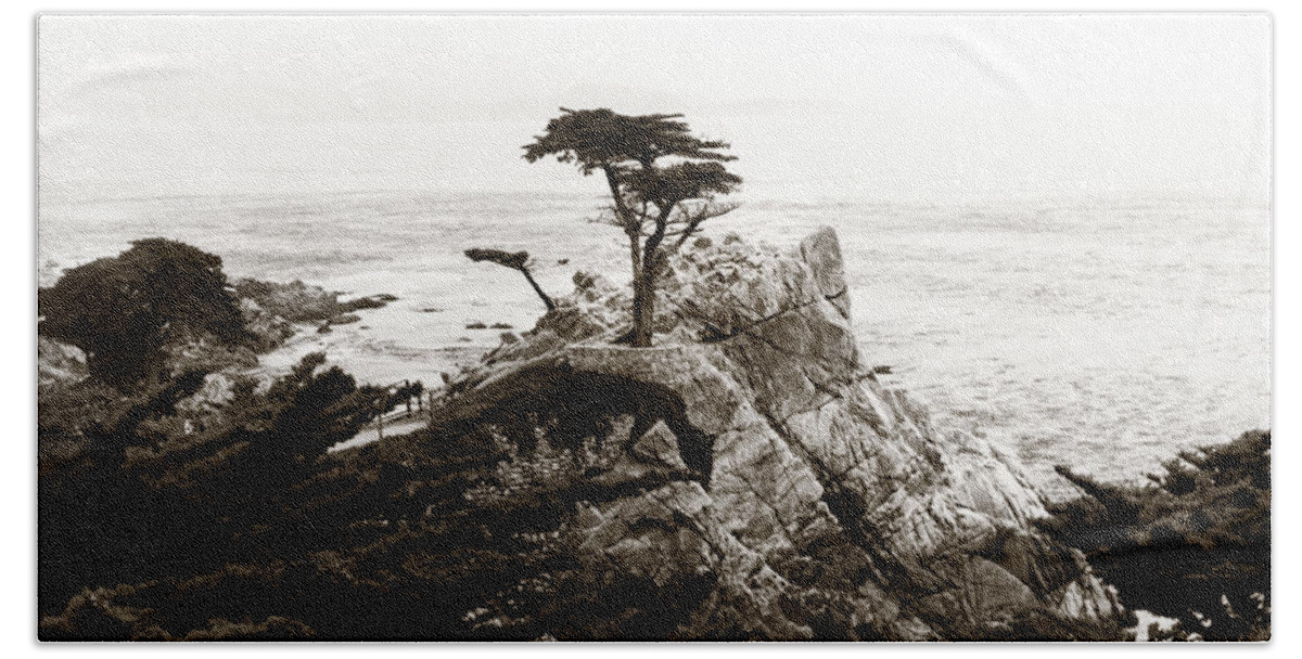 Lone Cypress Bath Towel featuring the photograph Lone Cypress by Marilyn Hunt