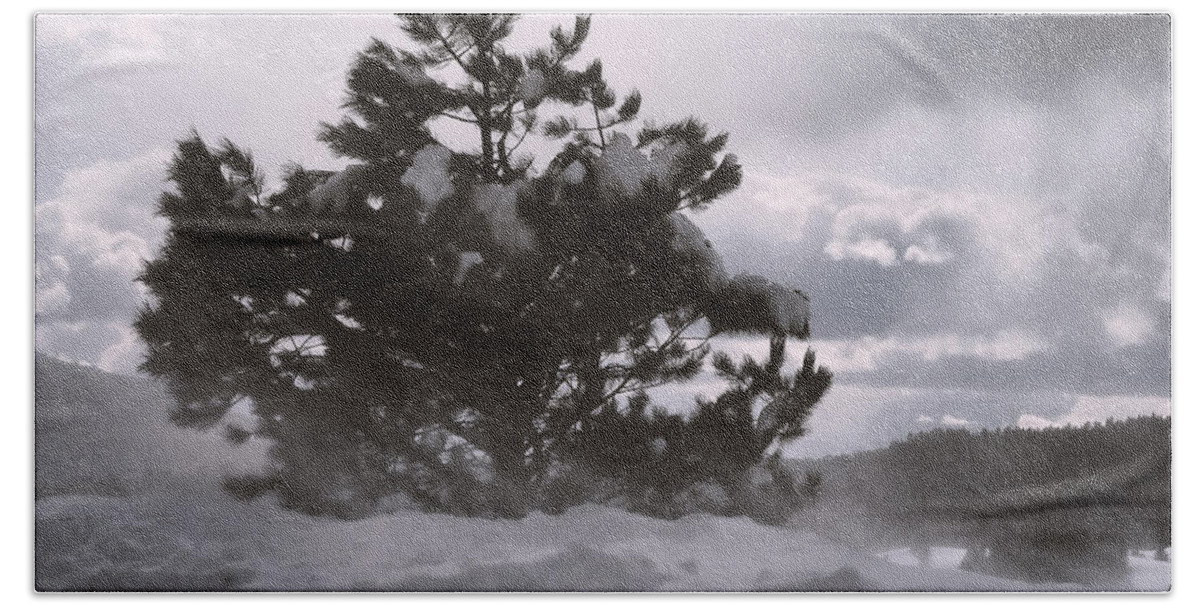 Lone Pine Hand Towel featuring the photograph Lone Pine by Becky Titus