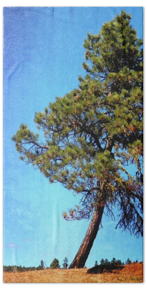 Tree Hand Towel featuring the photograph Lone Pine by Jamie Johnson