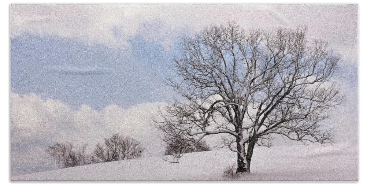 Landscape Hand Towel featuring the photograph Lone Tree in Snow by Betty Denise