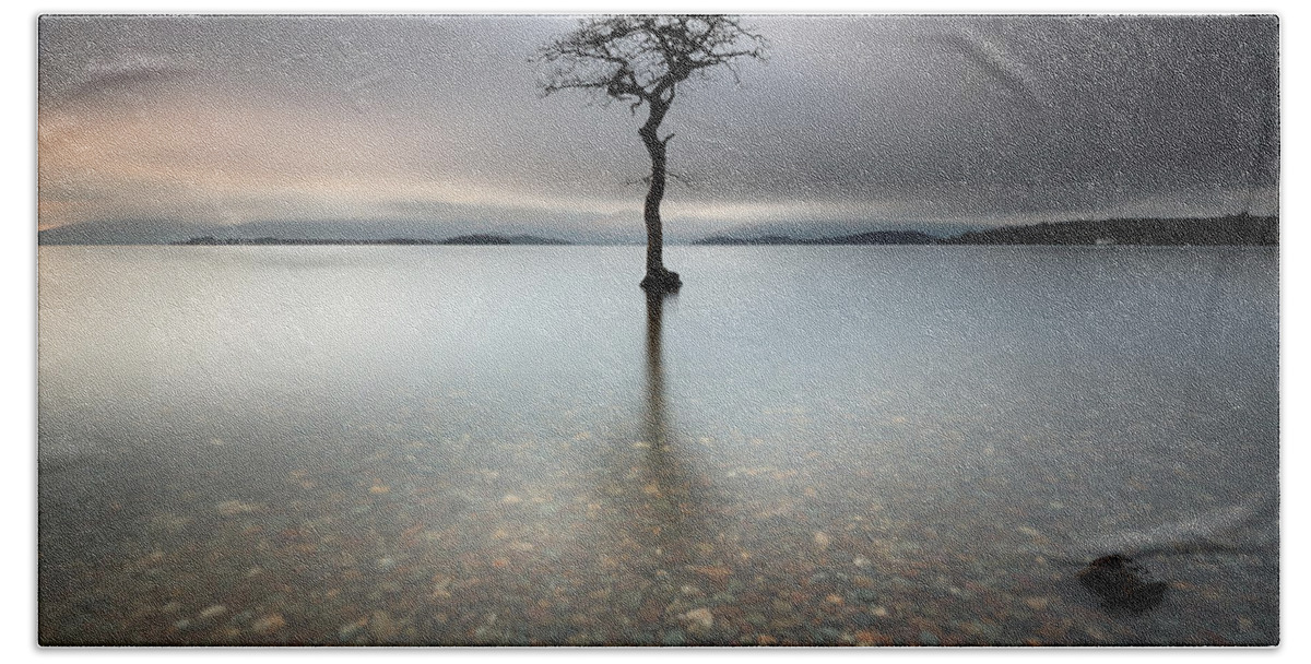  Tree Hand Towel featuring the photograph Lone Tree Loch Lomond by Grant Glendinning