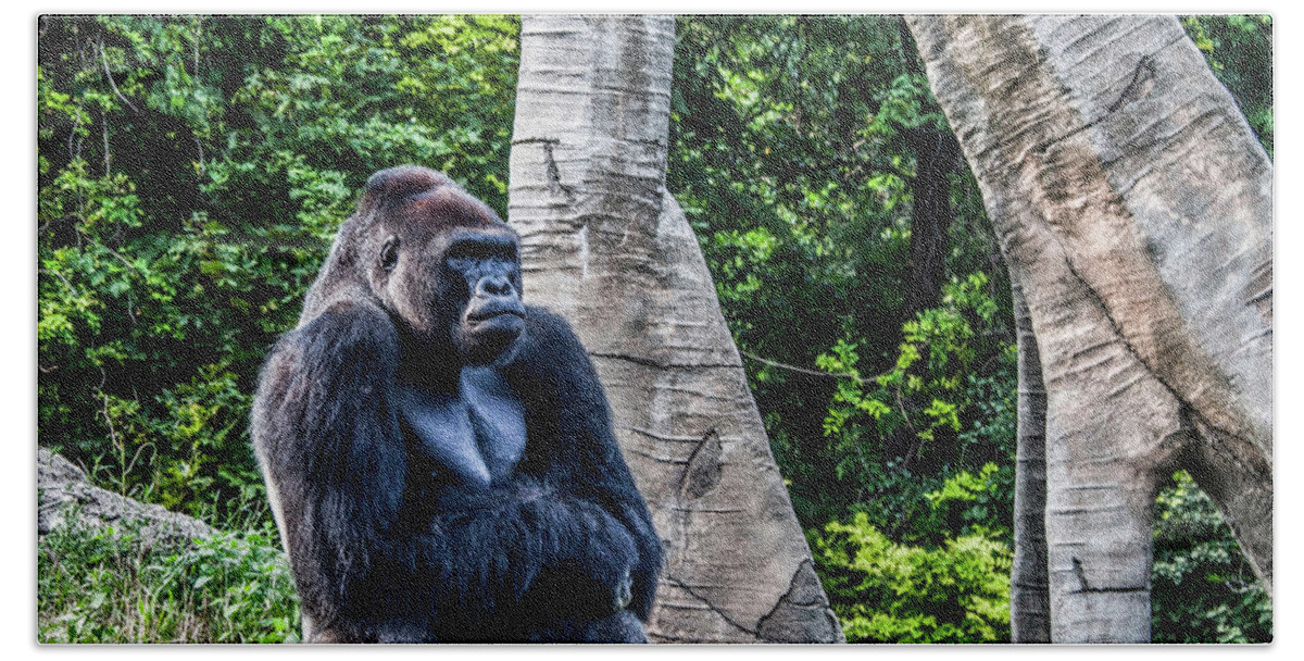 Gorilla Bath Towel featuring the photograph Lonely Gorilla by Joann Copeland-Paul