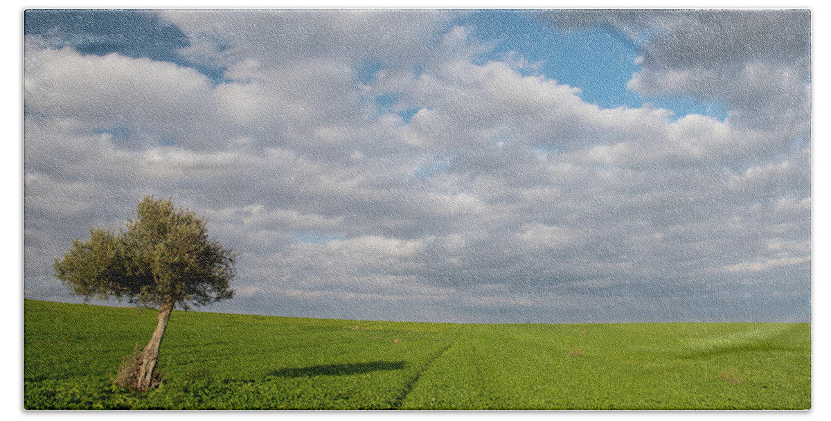 Olive Tree Bath Towel featuring the photograph Lonely Olive tree in a green field and moving clouds by Michalakis Ppalis