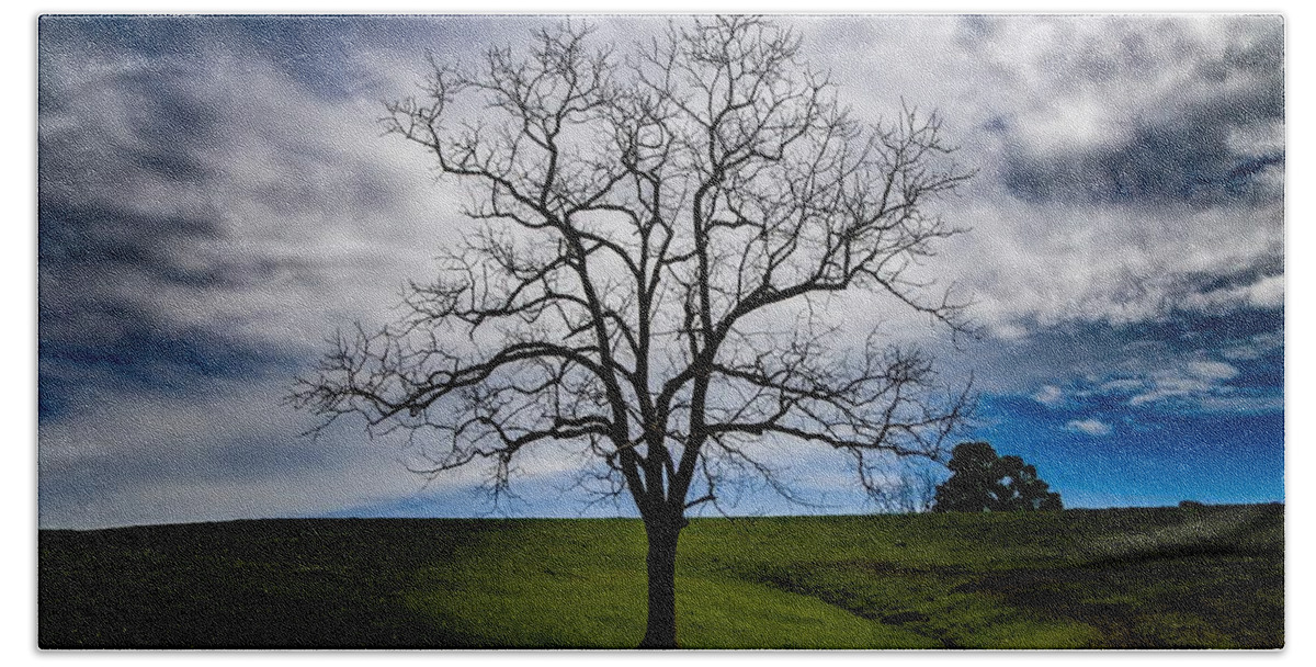 Tree Hand Towel featuring the photograph Lonely Tree by Kevin Craft