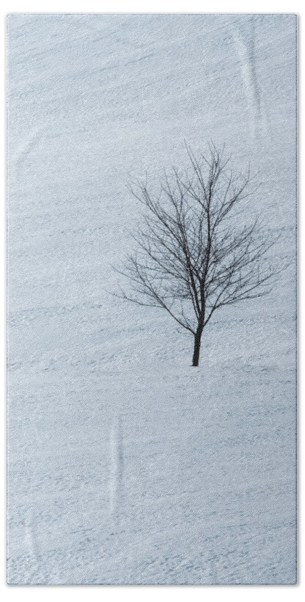 Jenne Farm Bath Towel featuring the photograph Lonely Tree by Tom Singleton