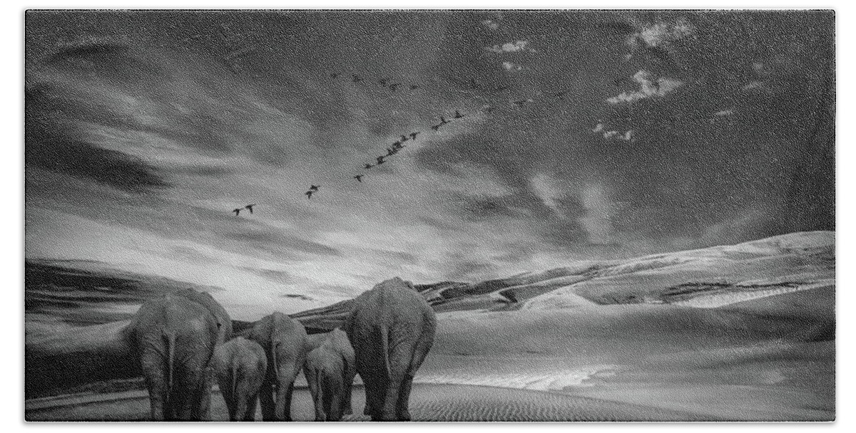 Elephant Bath Towel featuring the photograph Long Journey Home by Andrea Kollo