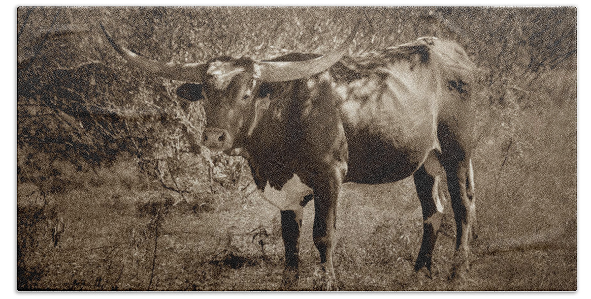 2016 Bath Towel featuring the photograph Longhorn #95 - Sepia by Tim Stanley