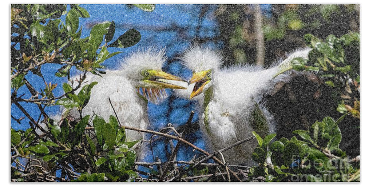 Egrets Bath Towel featuring the photograph Look - I Have Wings by DB Hayes