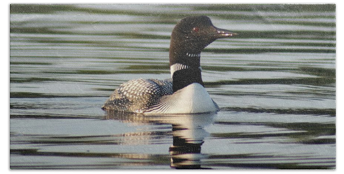 Wildlife Bath Towel featuring the photograph Loon 1 by Steven Clipperton