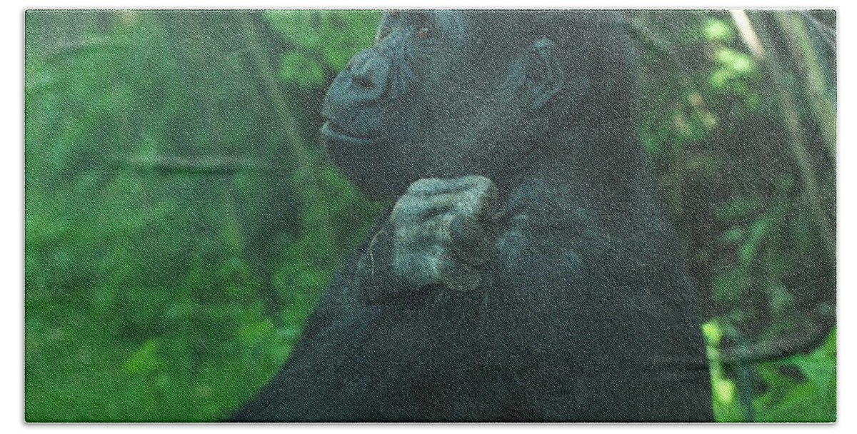 Gorilla Bath Towel featuring the photograph Lost in Thought by Richard Bryce and Family