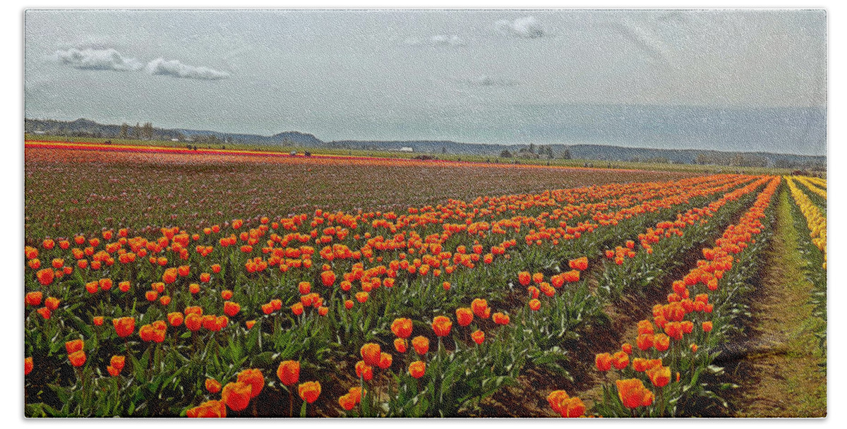 Landscape Bath Sheet featuring the photograph Lots of Tulips by Sherry L Smith