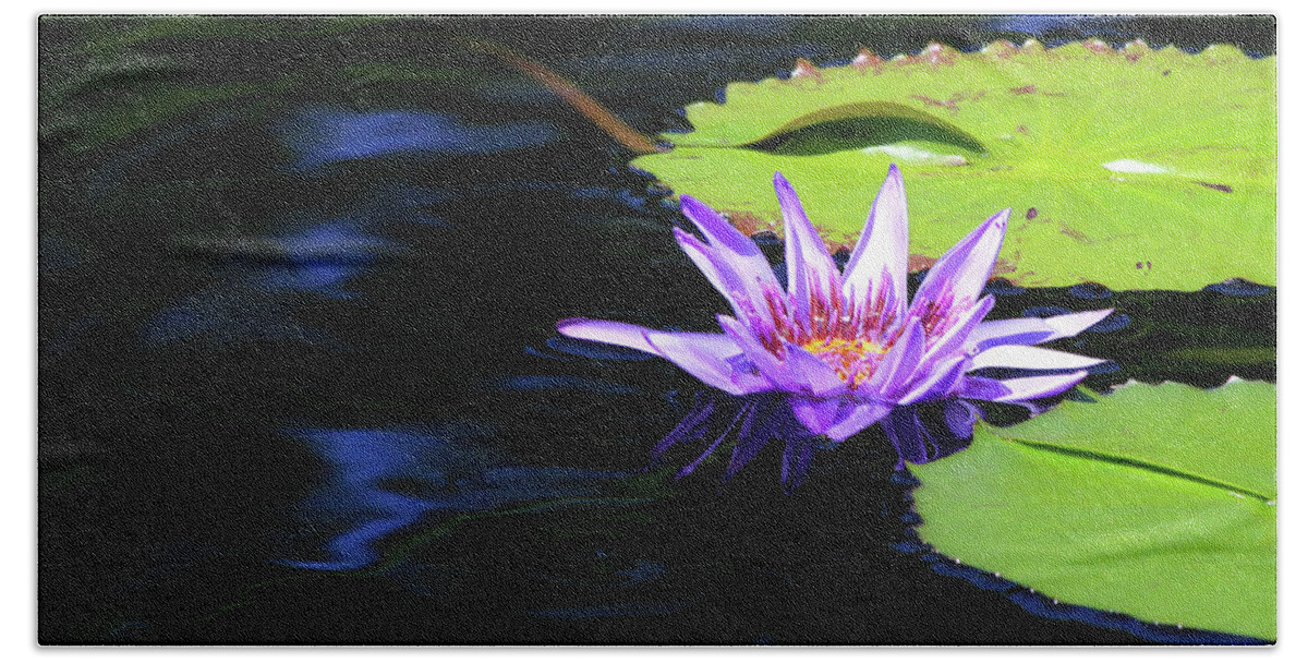 Lotus Bath Towel featuring the photograph Lotus and Dark Water Refection by Paula Guttilla