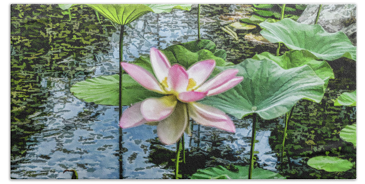 Lotus Flower Hand Towel featuring the painting Lotus In The Pond 4 by Jeelan Clark