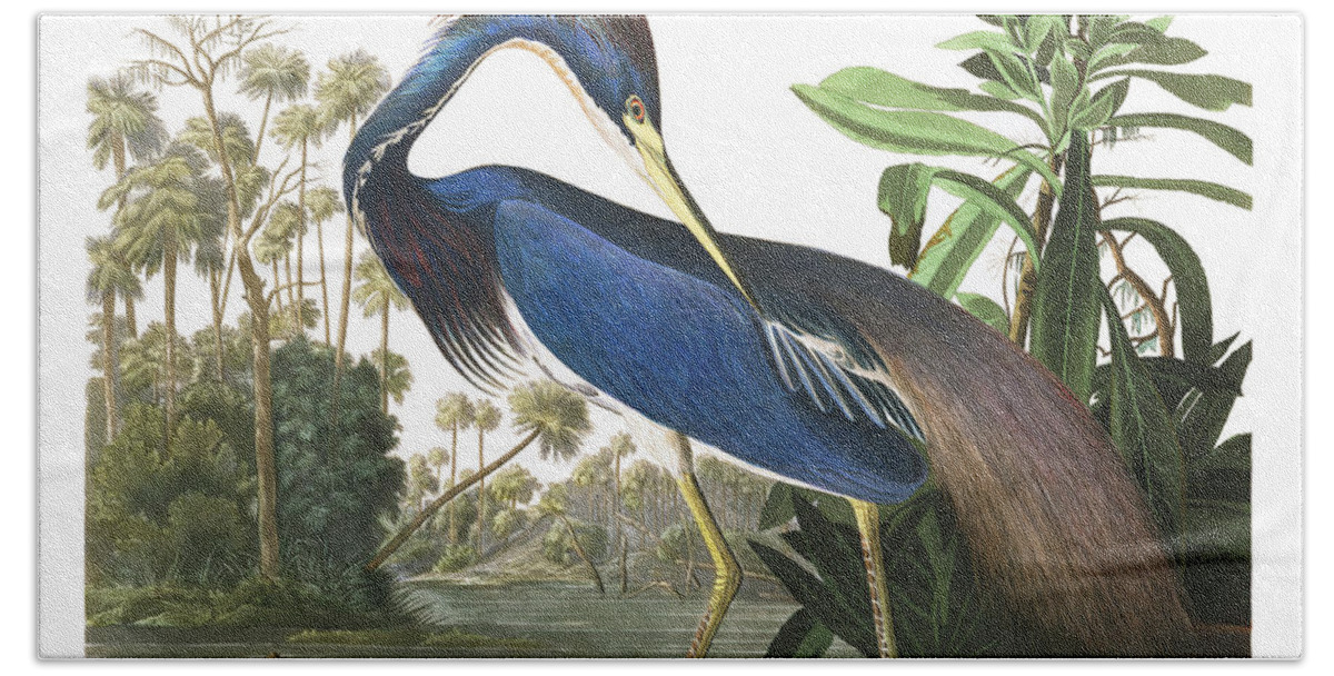 Louisiana Blue Heron Hand Towel featuring the painting Louisiana Blue Heron by John James Audubon