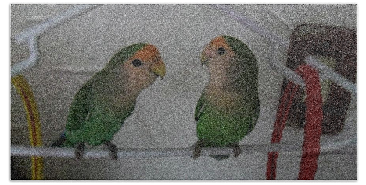 Lovebirds Hand Towel featuring the photograph Lovebirds by Val Oconnor