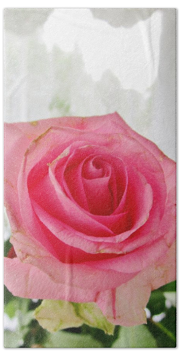 Roses Bath Towel featuring the photograph Loveliness by Rosita Larsson