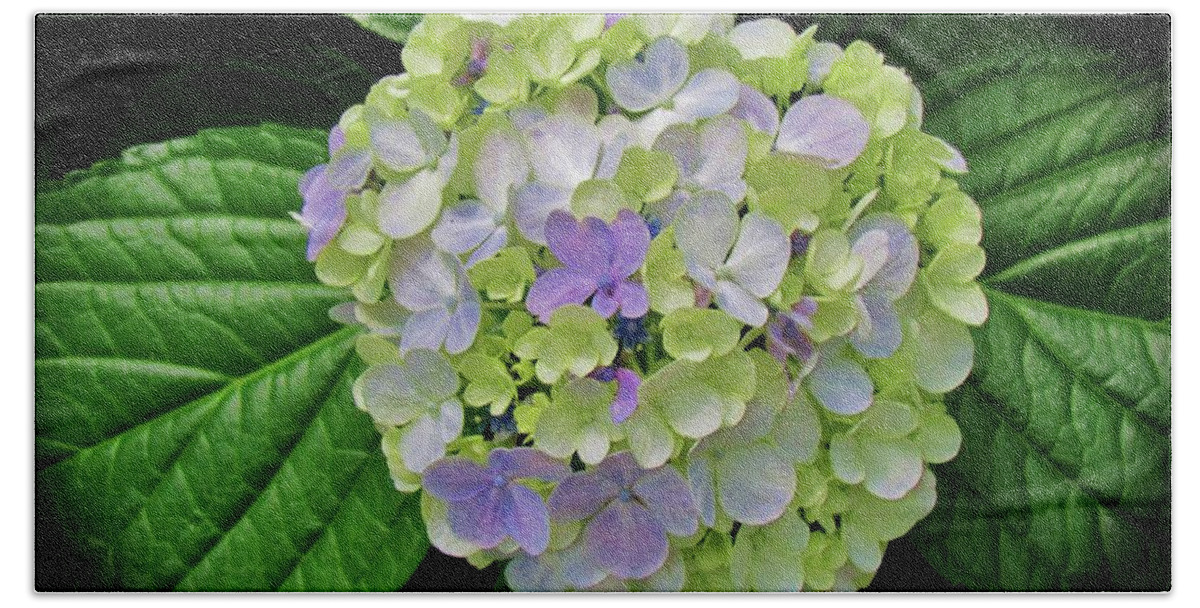 Hydrangea Bath Towel featuring the photograph Lovely Hydrangea by Cynthia Guinn