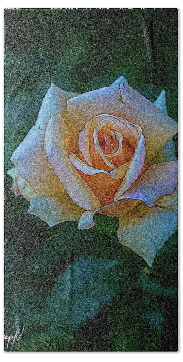 Rose Hand Towel featuring the photograph Lovely Rose by Mark Joseph