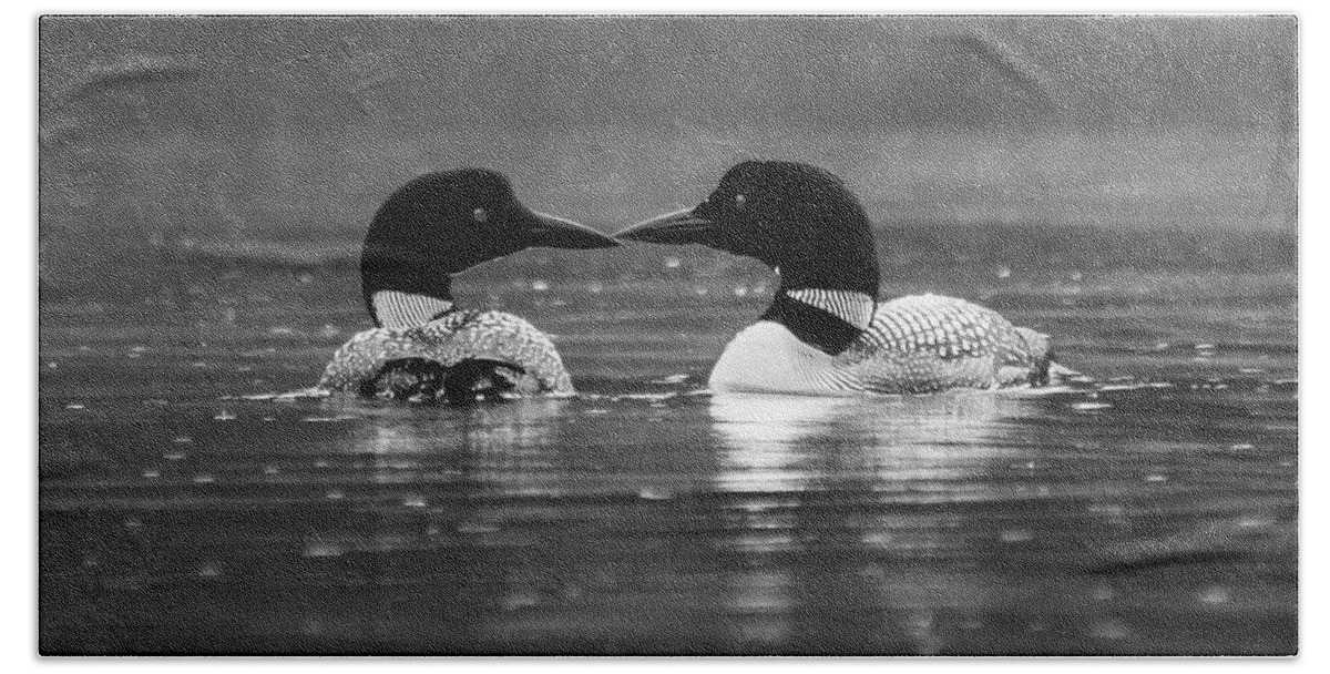 Black And White Bath Towel featuring the photograph Loving Loons by Darryl Hendricks