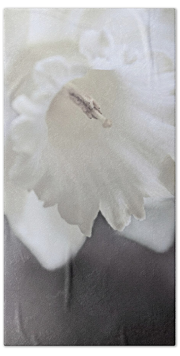 Daffodil Bath Towel featuring the photograph Luminous Ivory Daffodil Flower by Jennie Marie Schell