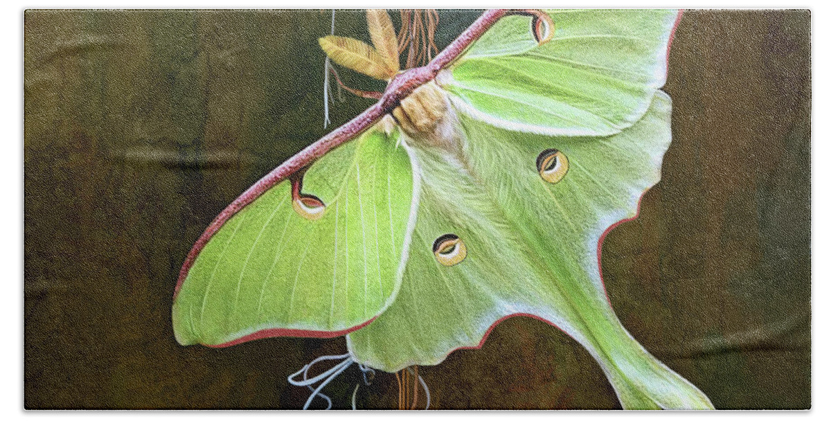 Luna Moth Hand Towel featuring the digital art Luna Moth by Thanh Thuy Nguyen