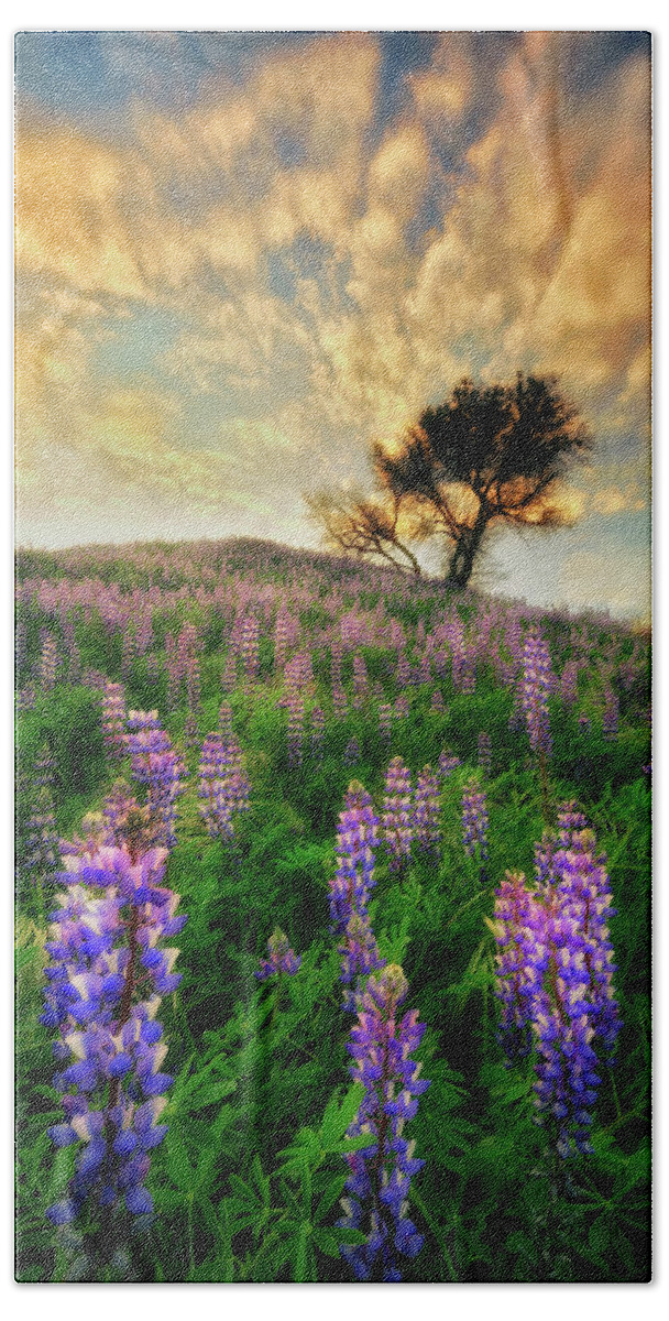 California Hand Towel featuring the photograph Lupine on Lupine by Nicki Frates