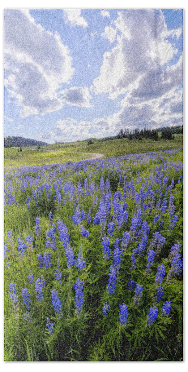 Lupine Pass Hand Towel featuring the photograph Lupine Pass by Chad Dutson