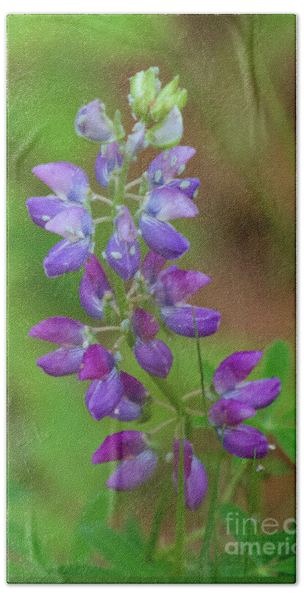 Photography Bath Towel featuring the photograph Lupine by Sean Griffin
