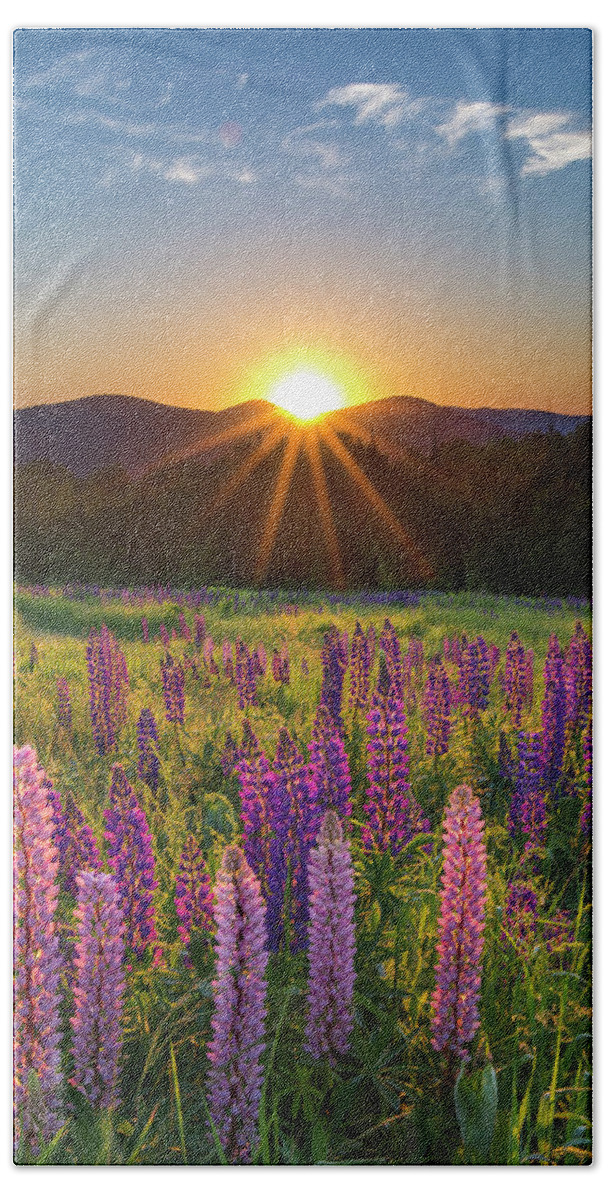Lupine Hand Towel featuring the photograph Lupine Sunrise Sugar Hill by White Mountain Images