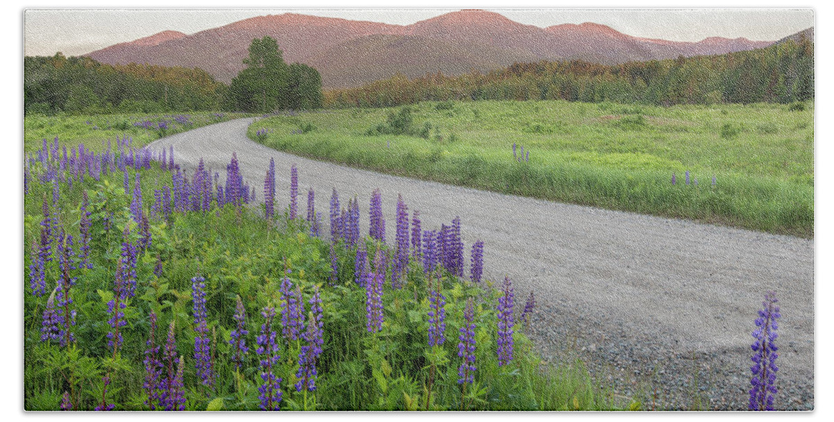 Lupine Hand Towel featuring the photograph Lupine Sunset Road by White Mountain Images