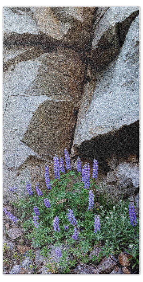Lupines Bath Towel featuring the photograph Lupines and Rock Face by George Sanquist