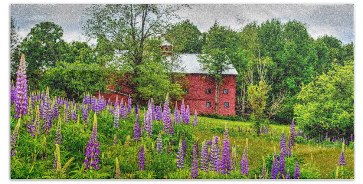 Sugar Hill Hand Towel featuring the photograph Lupines and the Red Barn by Steve Brown