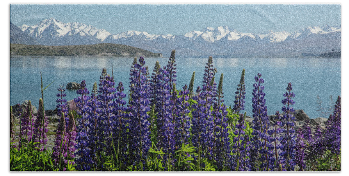 New Zealand Hand Towel featuring the photograph Lupines at Lake Tekapo by Cheryl Strahl