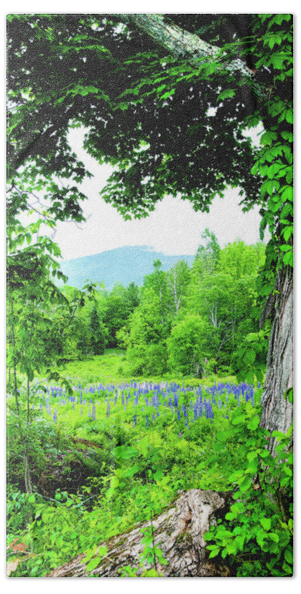 Franconia Notch Bath Towel featuring the photograph Lupines Secret by Greg Fortier