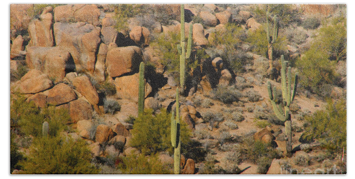Arizona Bath Towel featuring the photograph Lush Arizona Desert Landscape by James BO Insogna