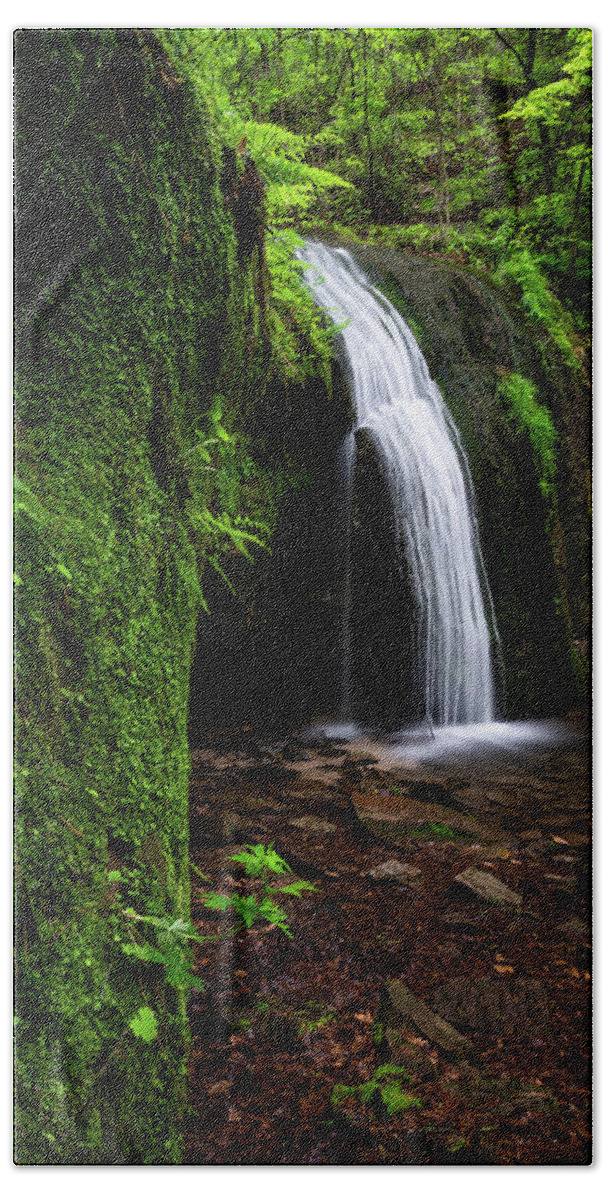 Waterfall Bath Towel featuring the photograph Lush by Brad Bellisle