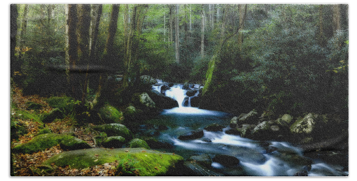 Stream Bath Towel featuring the photograph Lush Forest by C Renee Martin