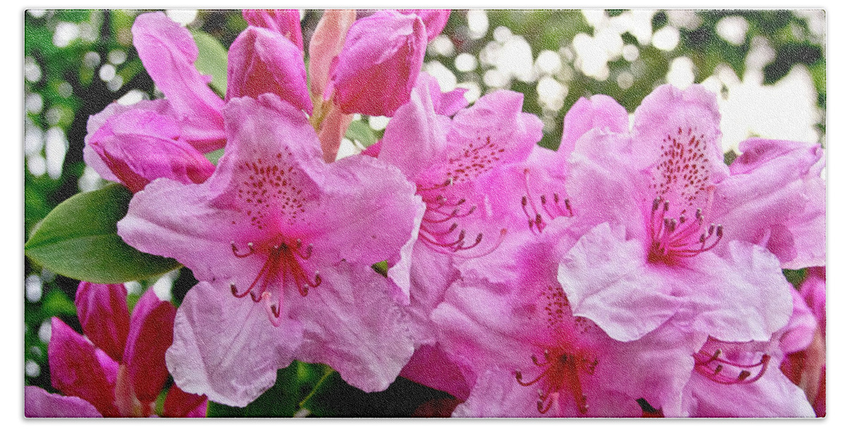 Lush Bath Towel featuring the photograph Lush spring of the pink rhododendrons. by Elena Perelman